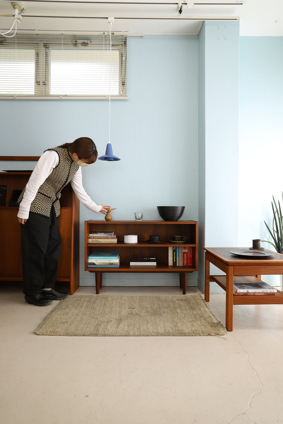 Rosewood Low Bookcase Danish Vintage/デンマークヴィンテージ ブックケース 本棚 収納 ローズウッド材 北欧家具