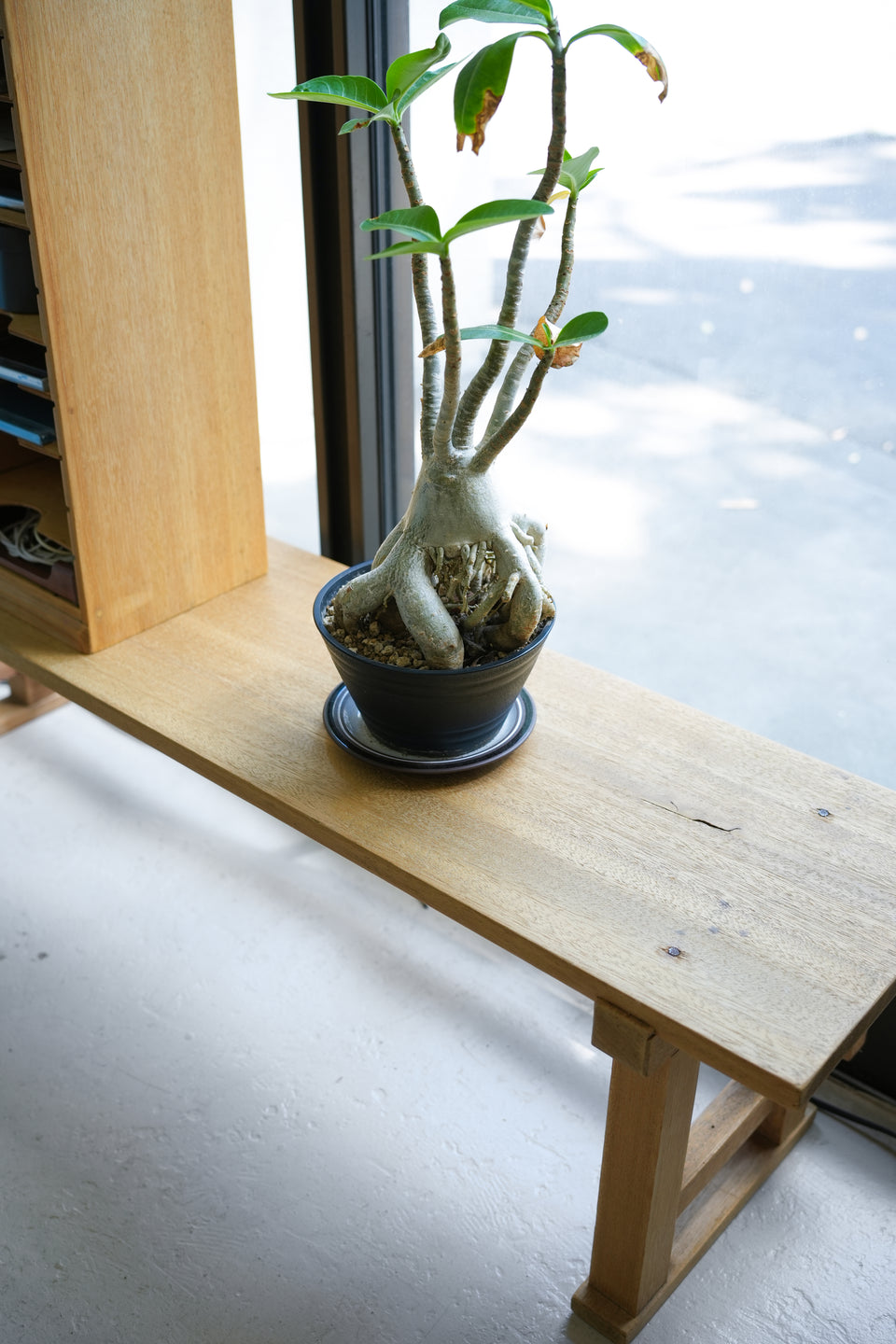 Japanese Vintage Wooden Furniture/ジャパンヴィンテージ 木の家具 長机 カルテケース 古道具 シャビーシック