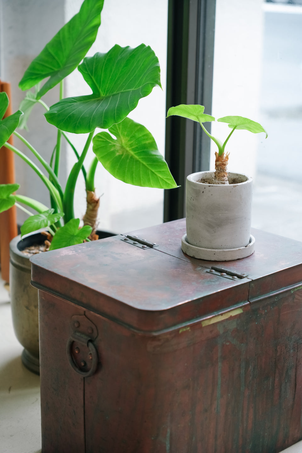 Vintage Copper Storage Box/ヴィンテージ ストレージボックス 銅製