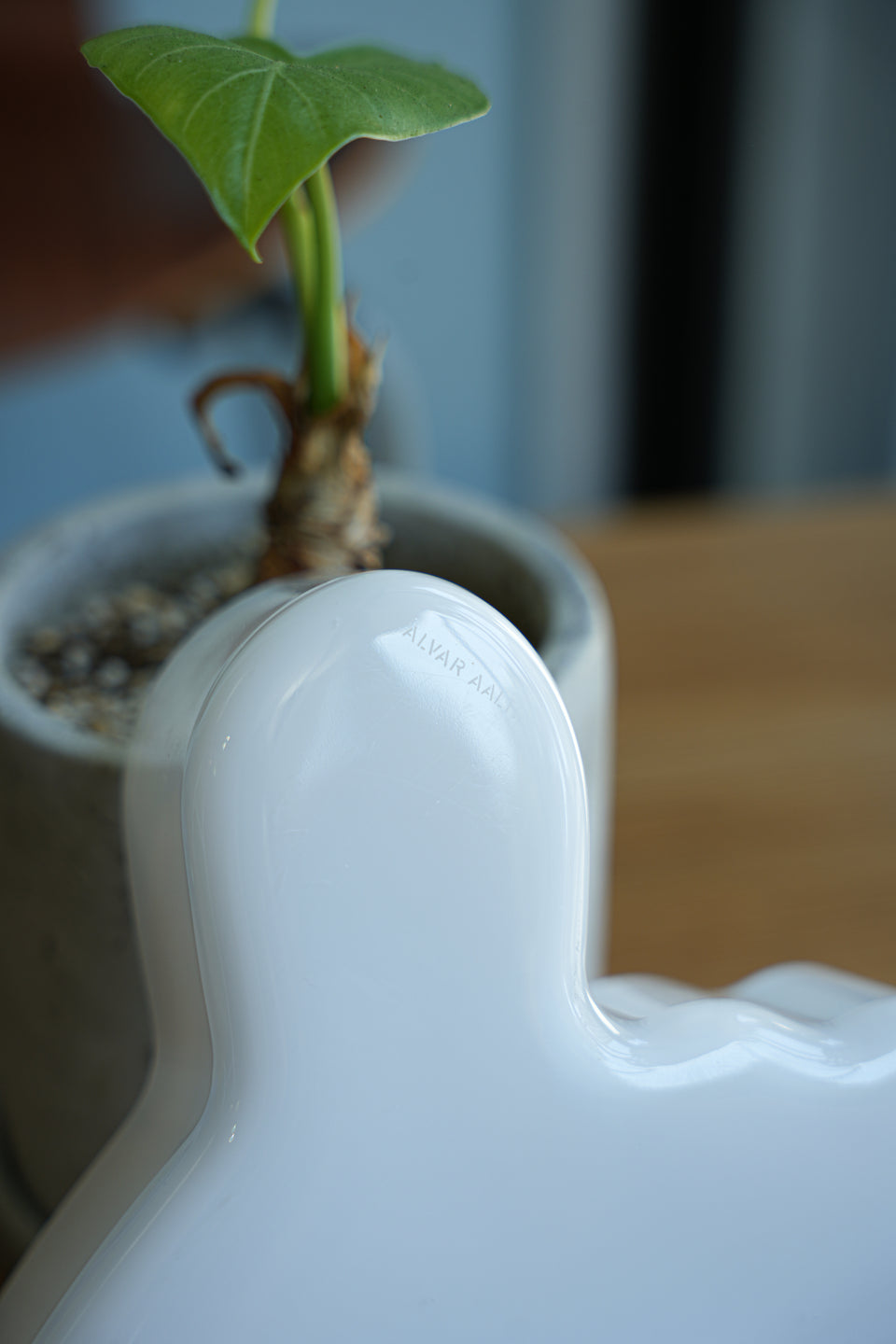 iittala Alvar Aalto Collection Bowl White/イッタラ アルヴァ・アアルト コレクション ボウル ホワイト 北欧インテリア