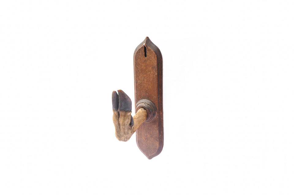 Wall Hanging Deer Leg French Vintage /フランスヴィンテージ ウォールハンガー 鹿