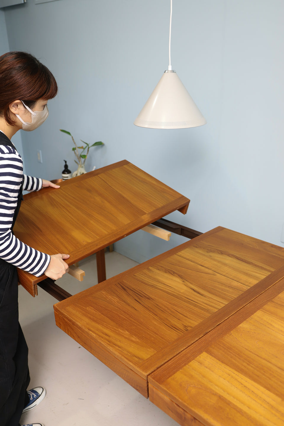 Vejle Stole & Møbelfabrik Extension Dining Table Danish Vintage/デンマークヴィンテージ エクステンション ダイニングテーブル 北欧家具