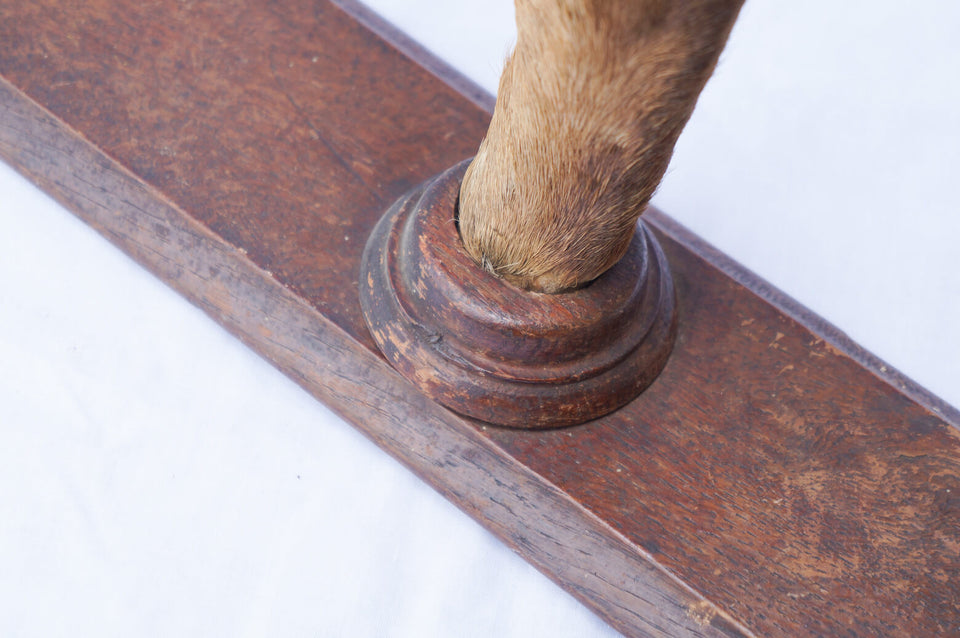 Wall Hanging Deer Leg French Vintage /フランスヴィンテージ ウォールハンガー 鹿