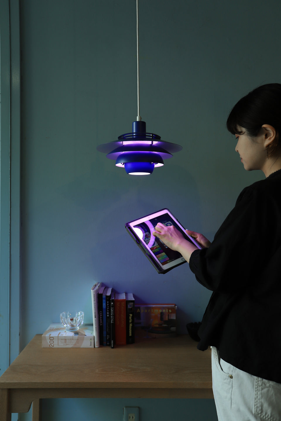 Danish Vintage Jeka "Dania" 2030 Pendant Light/デンマークヴィンテージ ジェカ ペンダントライト