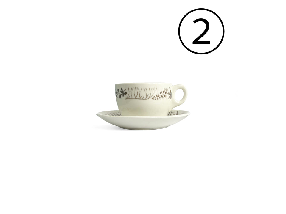 Gustavsberg Medicinalväxter Teacup and Saucer Stig Lindberg/グスタフスベリ ティーカップ&ソーサー スティグ・リンドベリ