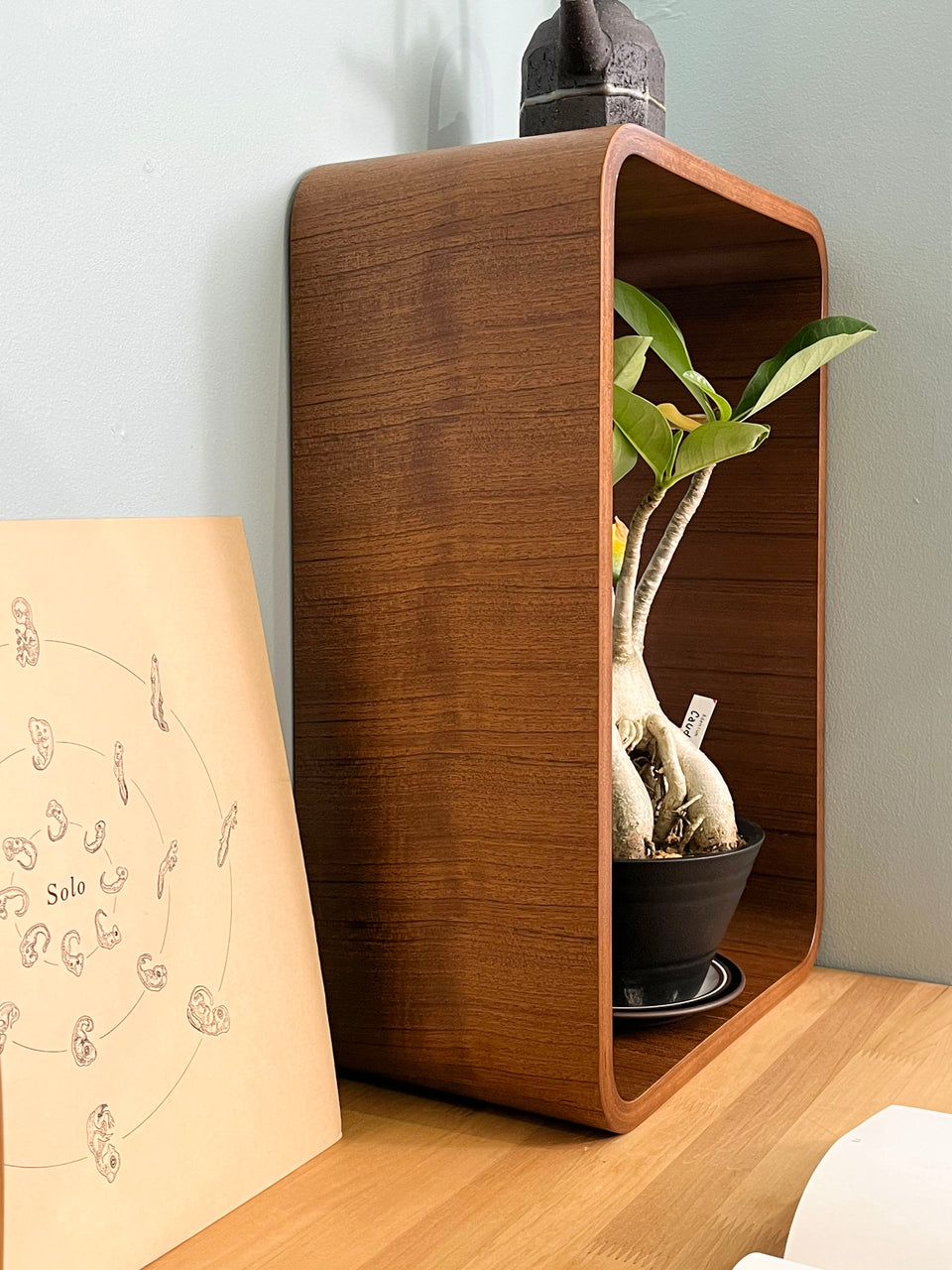 Teak Plywood Interior Goods/チーク材 プライウッド インテリア ボックス トレイ 収納