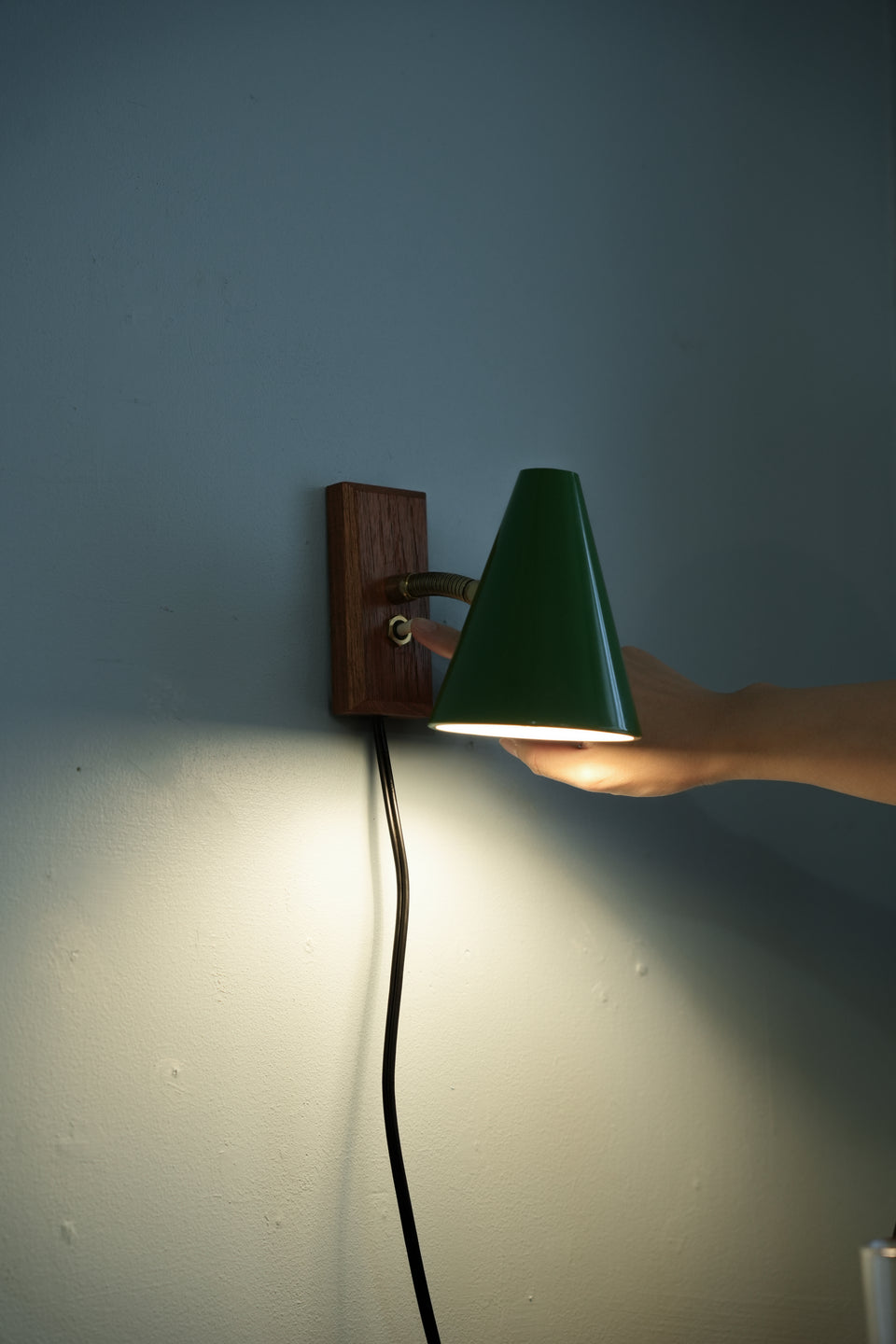 Danish Vintage Gooseneck Wall Lamp/デンマークヴィンテージ ウォールランプ グースネック