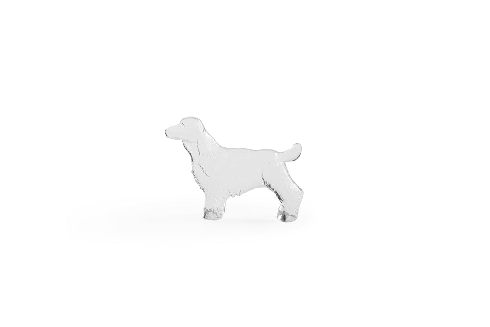 Boda Kennel Bertil Vallien Cocker Spaniel/ボダ ケンネル コッカースパニエル バーティル・ヴァリーン
