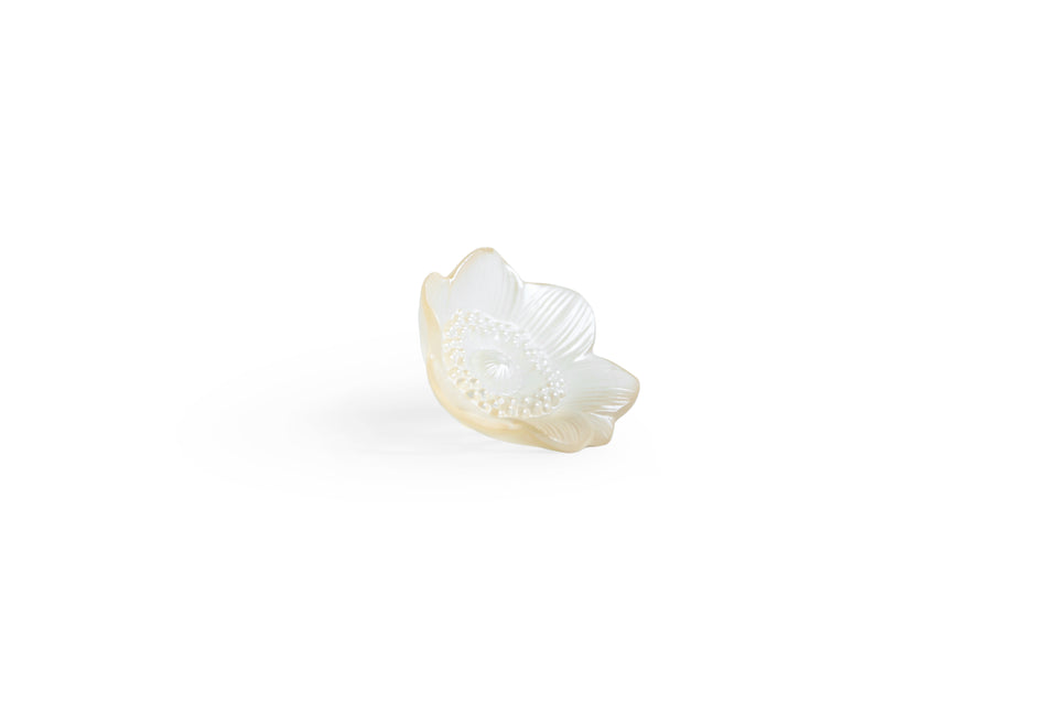 Lalique Anemone Objet Gold Lustre/ラリック アネモネ ガラスオブジェ ゴールドラスター