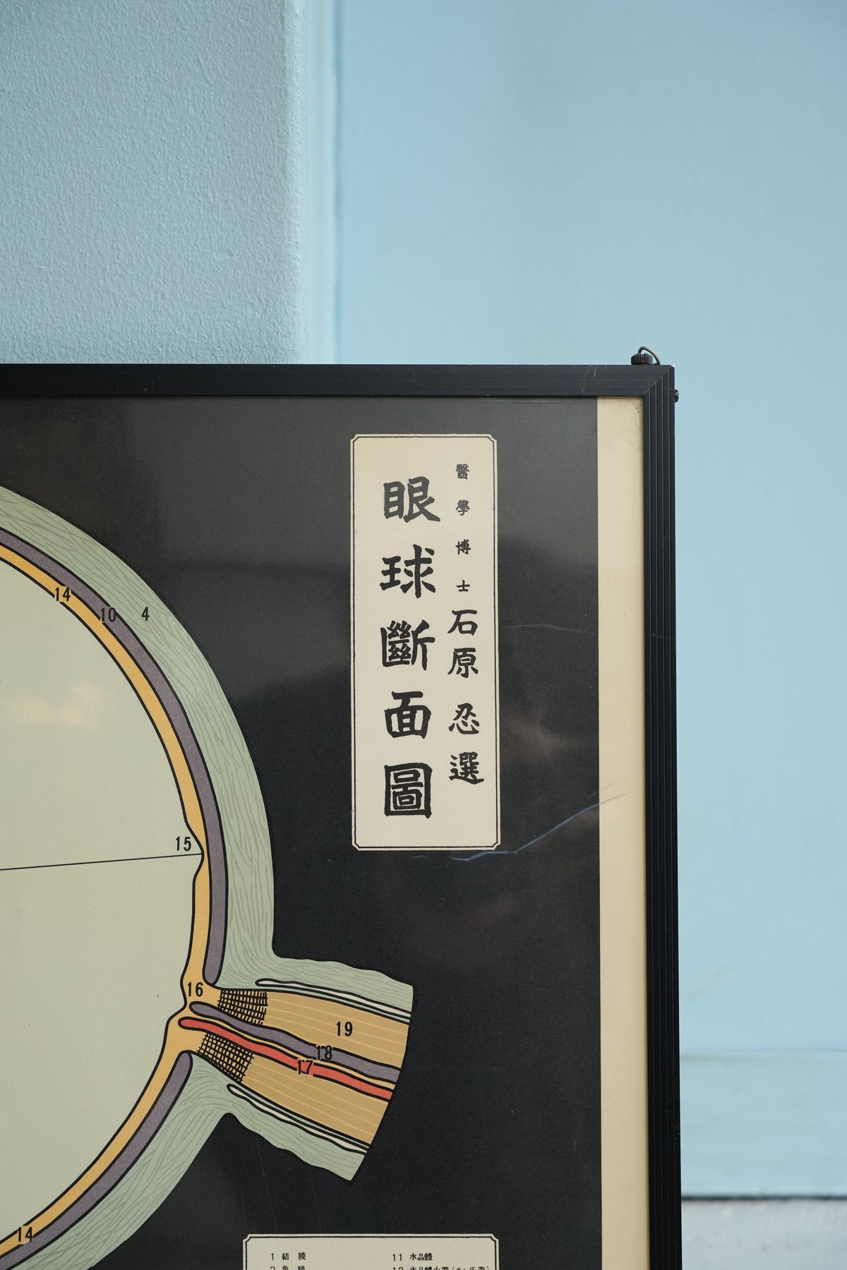 眼球解剖図 掛軸 昭和レトロ￼ 22Japanese_Vintage_Eye_Anatomy