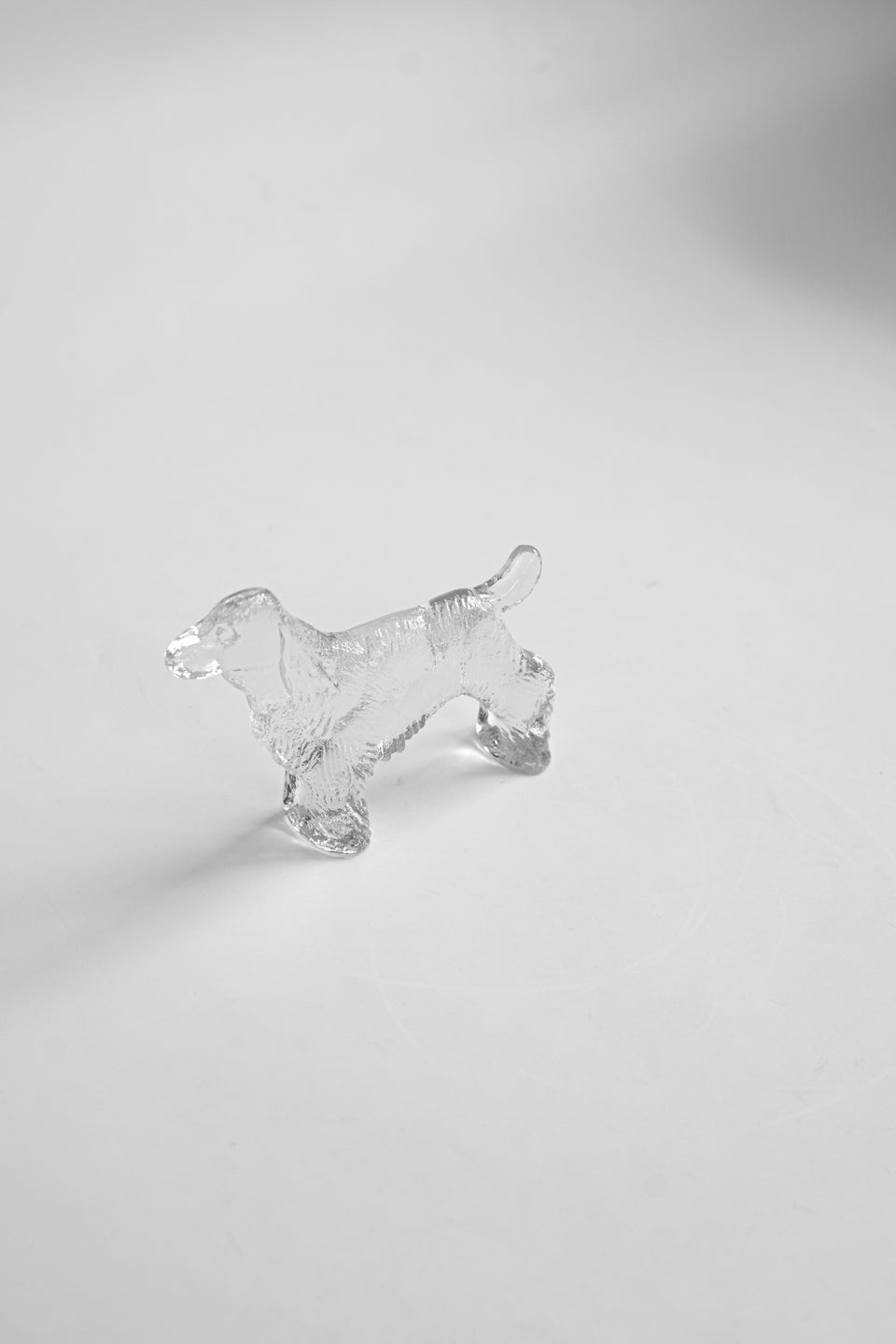 Boda Kennel Bertil Vallien Cocker Spaniel/ボダ ケンネル コッカースパニエル バーティル・ヴァリーン
