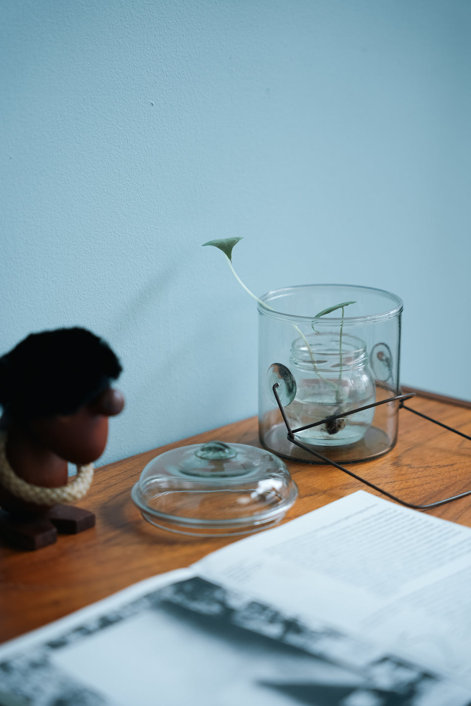 Peter Ivy Glass Coffee Jar/ピーター・アイビー ガラス コーヒージャー