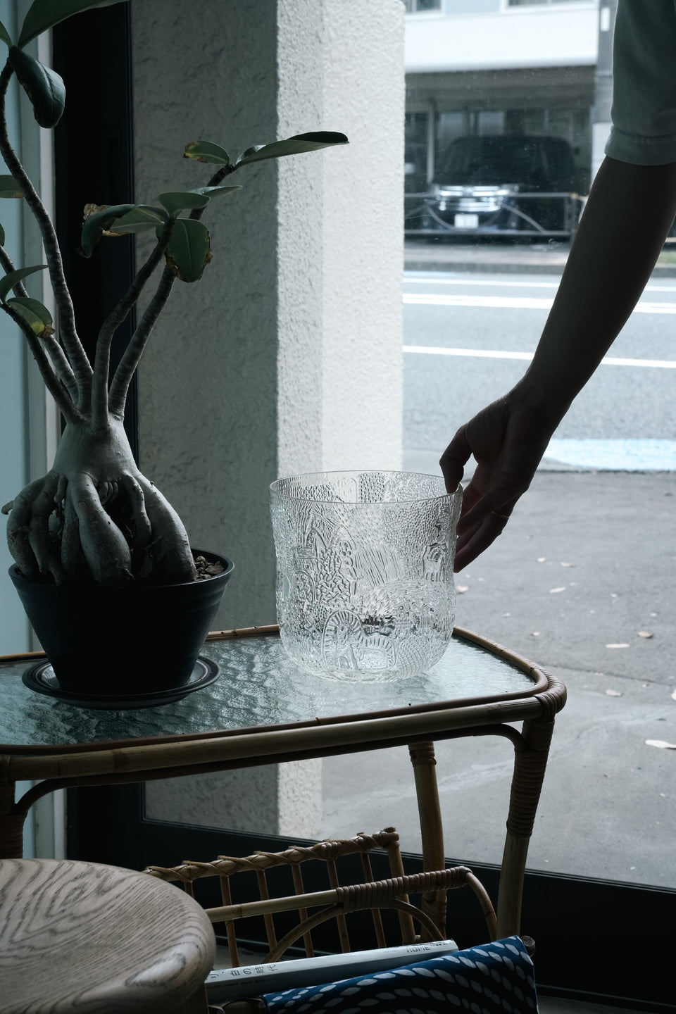 Nuutajarvi Oiva Toikka Fauna Bowl/ヌータヤルヴィ オイバ・トイッカ ファウナ ボウル