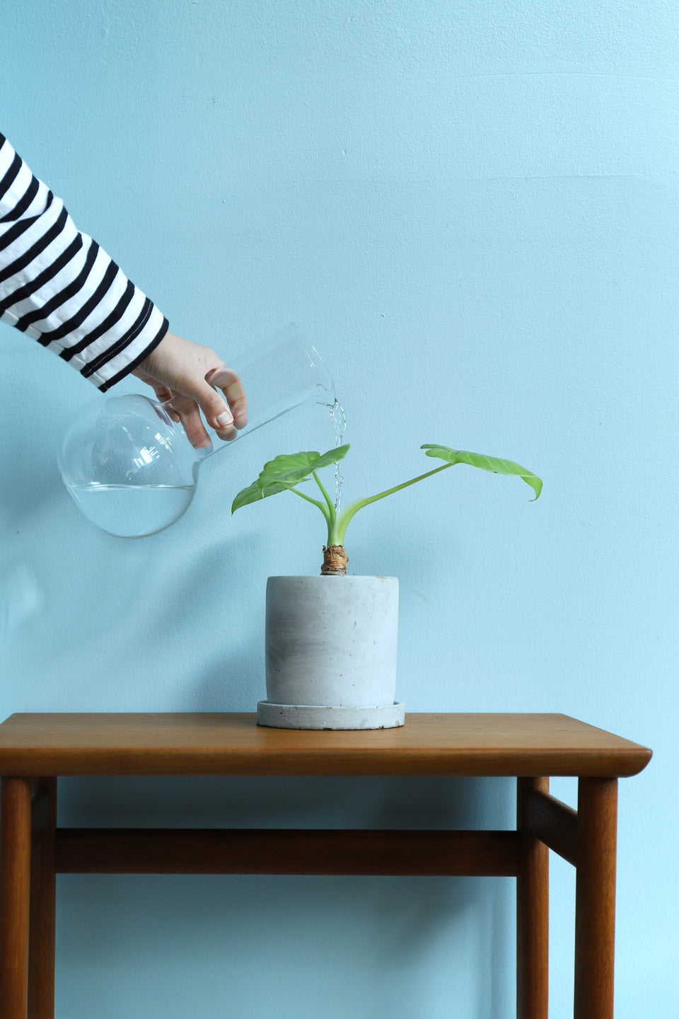 iittala Carafe 1621 Clear Kaj Franck/イッタラ カラフェ カイ・フランク 北欧食器