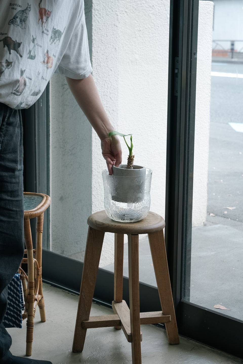 Nuutajarvi Oiva Toikka Fauna Bowl/ヌータヤルヴィ オイバ・トイッカ ファウナ ボウル