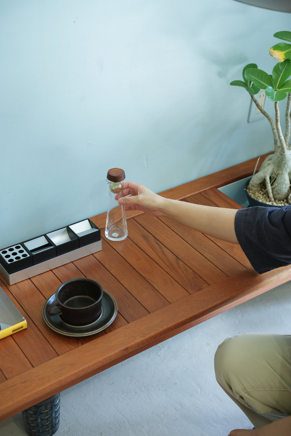 Swedish Vintage Coffee Table “Florida” Ingvar Andersson/スウェーデンヴィンテージ コーヒーテーブル プランター付き 北欧家具