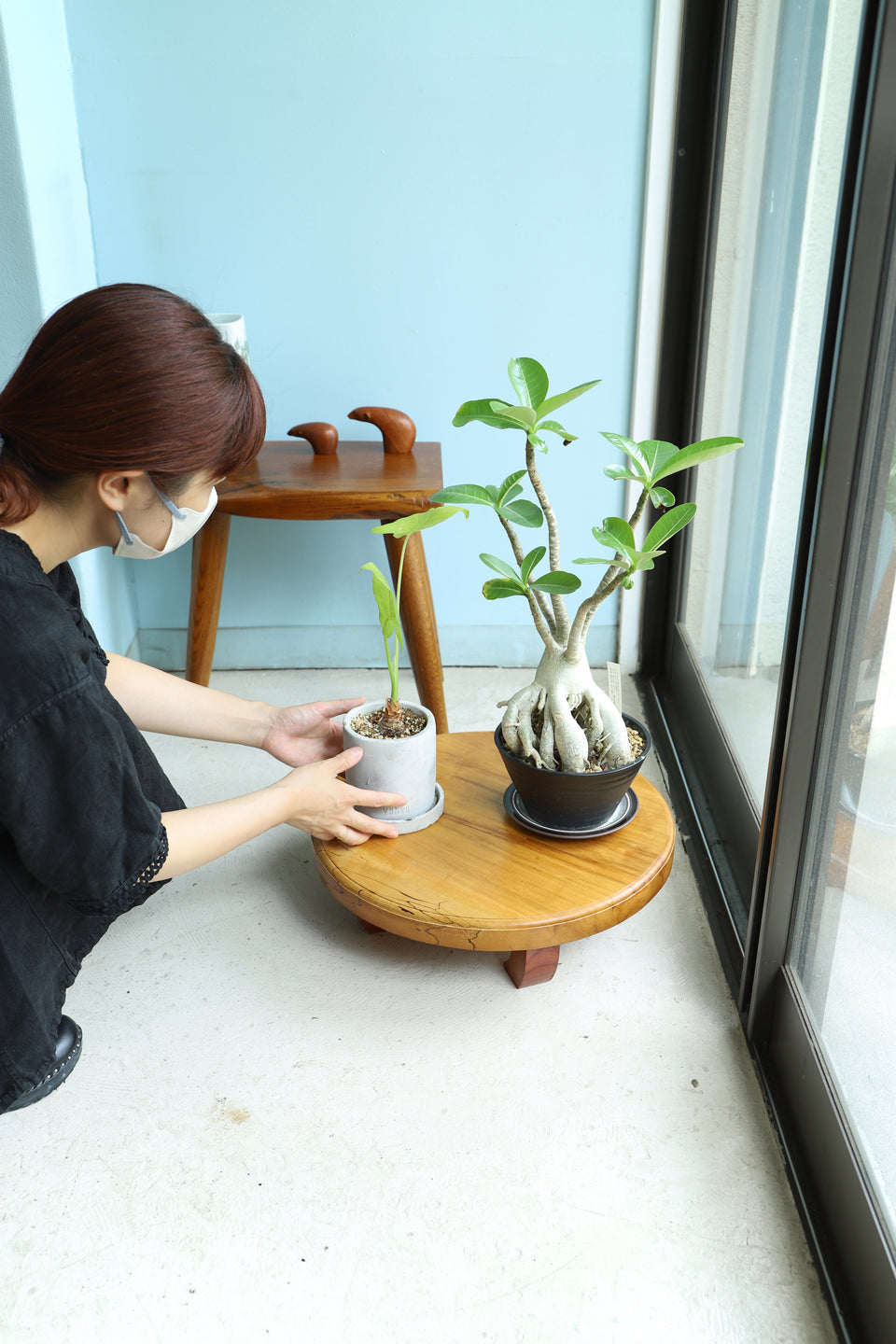 Round Low Table Solid Wood/無垢材 ラウンドローテーブル 花台 ちゃぶ台