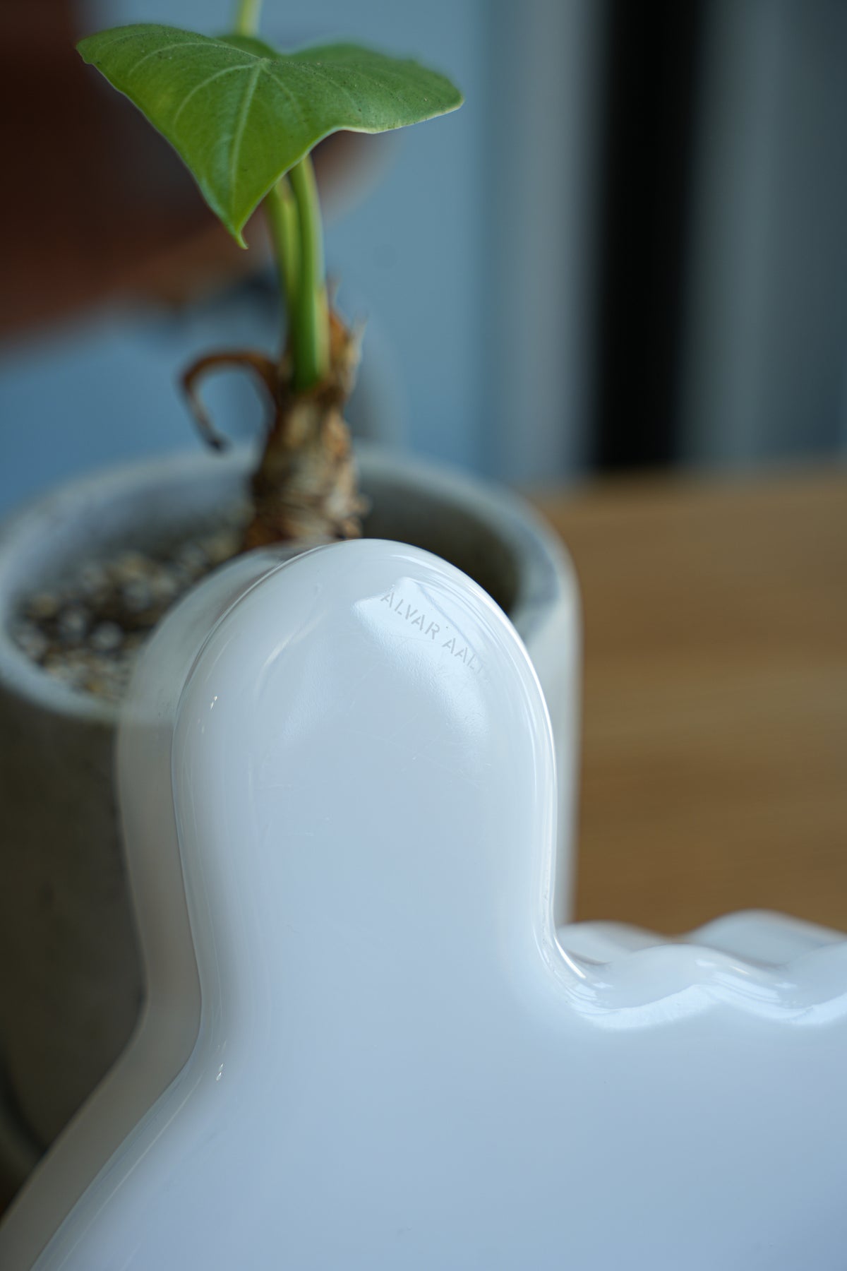 9iittala_Alvar_Aalto_Collectio